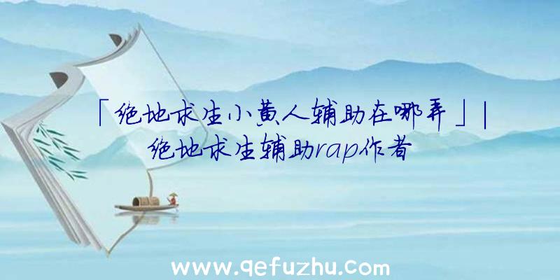 「绝地求生小黄人辅助在哪弄」|绝地求生辅助rap作者